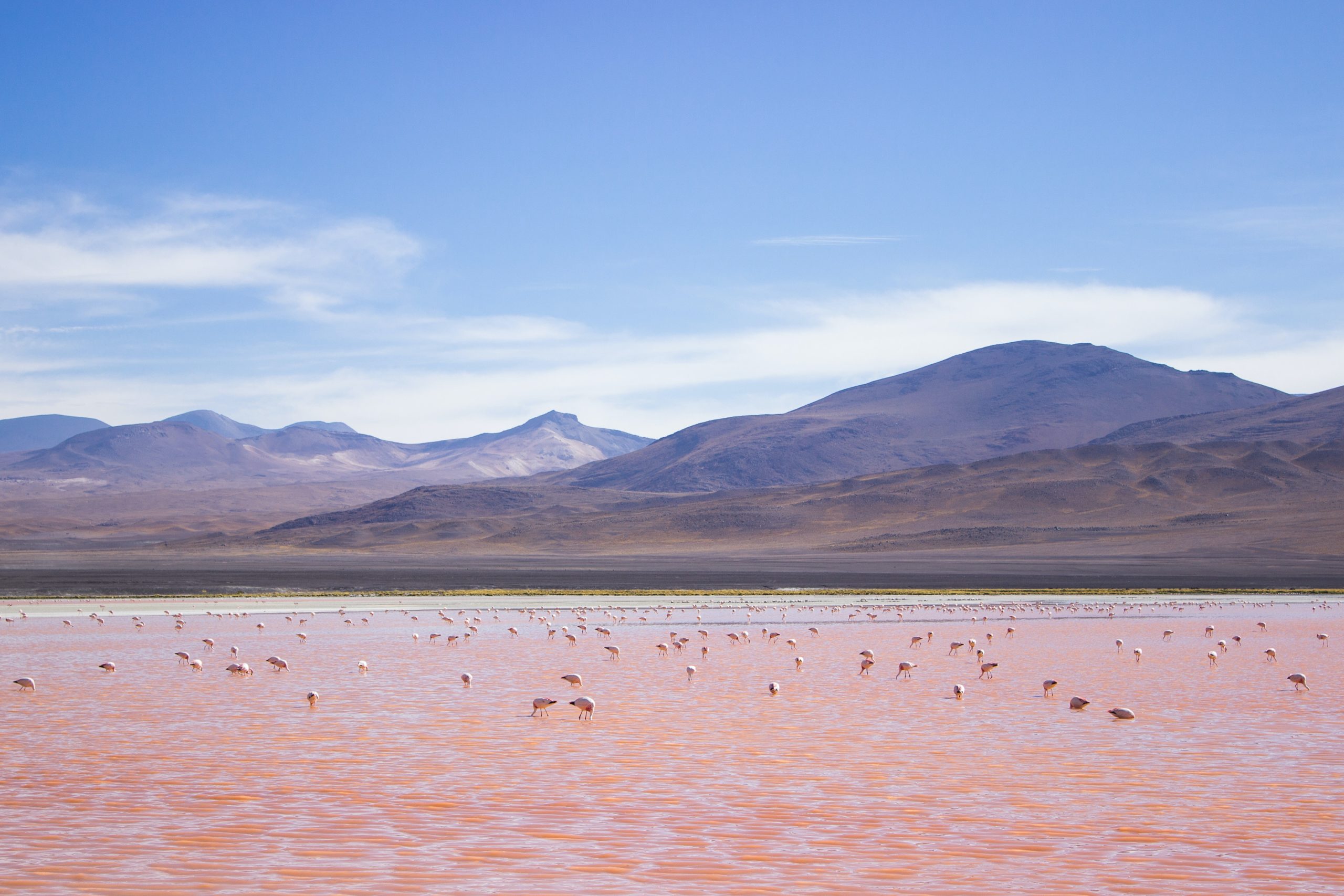 bolivia